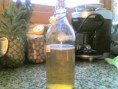 PROPIEDADES  DE LA KOMBUCHA